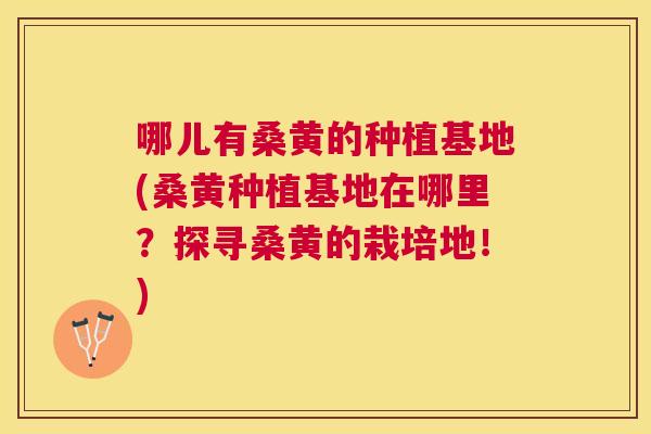 哪儿有桑黄的种植基地(桑黄种植基地在哪里？探寻桑黄的栽培地！)