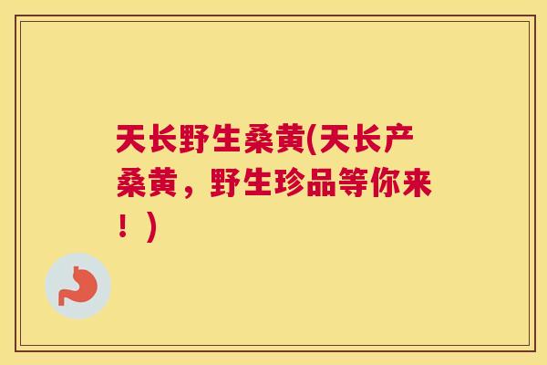 天长野生桑黄(天长产桑黄，野生珍品等你来！)