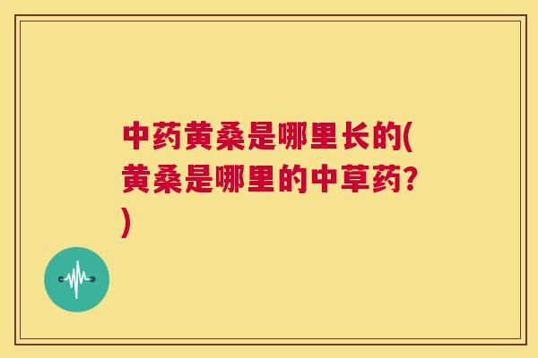 黄桑是哪里长的(黄桑是哪里的中草药？)