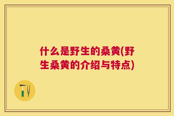 什么是野生的桑黄(野生桑黄的介绍与特点)