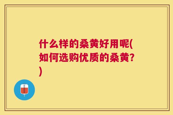 什么样的桑黄好用呢(如何选购优质的桑黄？)