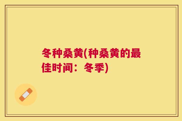 冬种桑黄(种桑黄的佳时间：冬季)