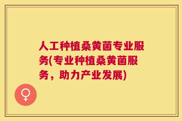 人工种植桑黄菌专业服务(专业种植桑黄菌服务，助力产业发展)