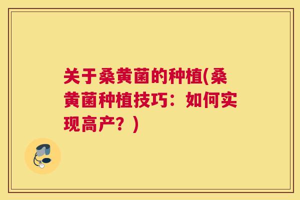 关于桑黄菌的种植(桑黄菌种植技巧：如何实现高产？)