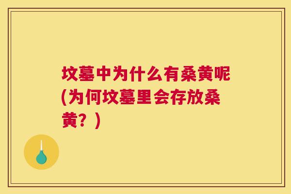 坟墓中为什么有桑黄呢(为何坟墓里会存放桑黄？)