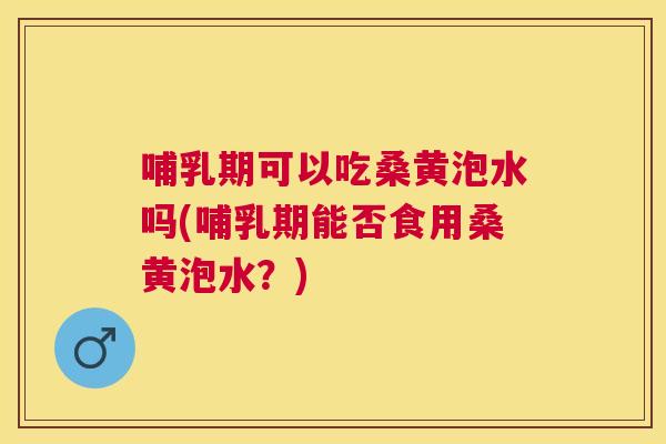哺乳期可以吃桑黄泡水吗(哺乳期能否食用桑黄泡水？)