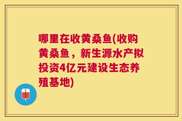 哪里在收黄桑鱼(收购黄桑鱼，新生源水产拟投资4亿元建设生态养殖基地)