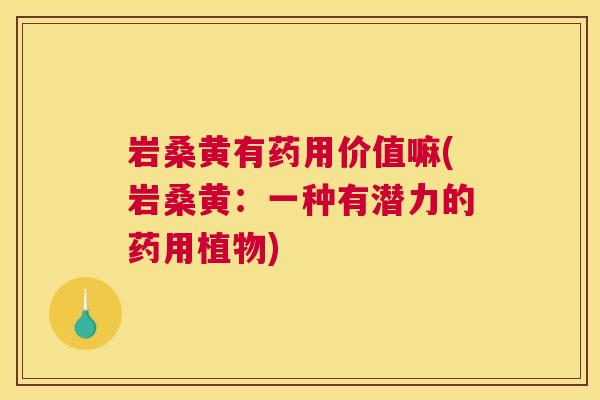 岩桑黄有药用价值嘛(岩桑黄：一种有潜力的药用植物)