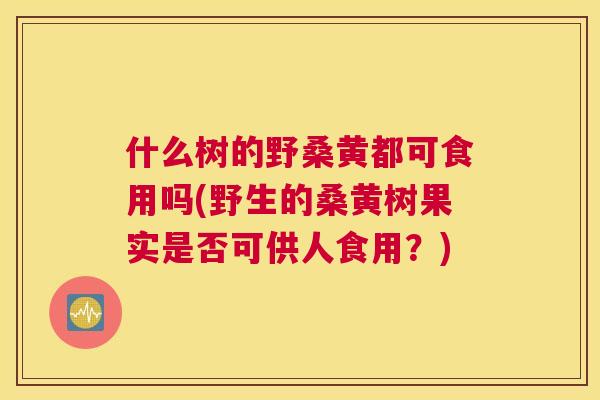 什么树的野桑黄都可食用吗(野生的桑黄树果实是否可供人食用？)