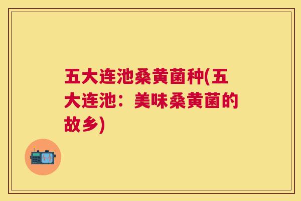 五大连池桑黄菌种(五大连池：美味桑黄菌的故乡)