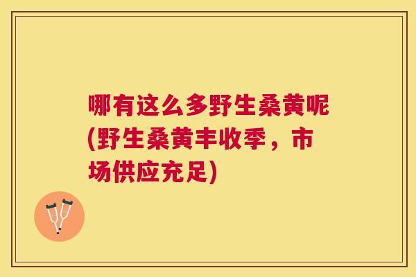 哪有这么多野生桑黄呢(野生桑黄丰收季，市场供应充足)