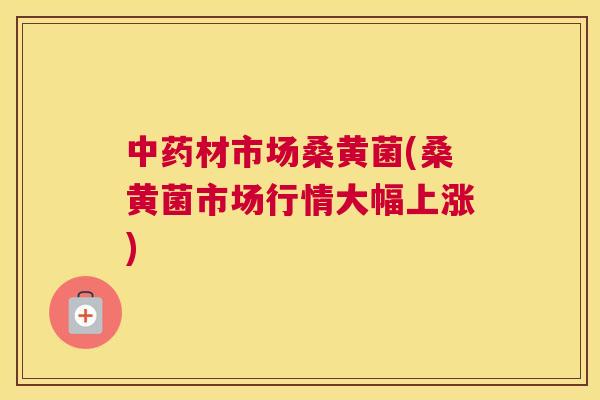 材市场桑黄菌(桑黄菌市场行情大幅上涨)