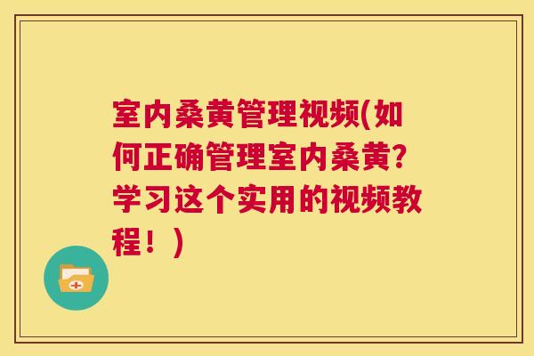 室内桑黄管理视频(如何正确管理室内桑黄？学习这个实用的视频教程！)