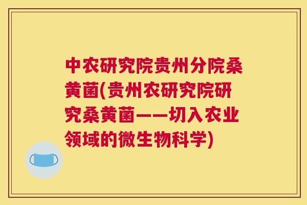 中农研究院贵州分院桑黄菌(贵州农研究院研究桑黄菌——切入农业领域的微生物科学)