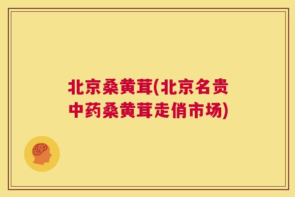 北京桑黄茸(北京名贵桑黄茸走俏市场)