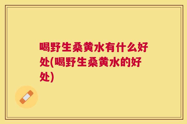 喝野生桑黄水有什么好处(喝野生桑黄水的好处)