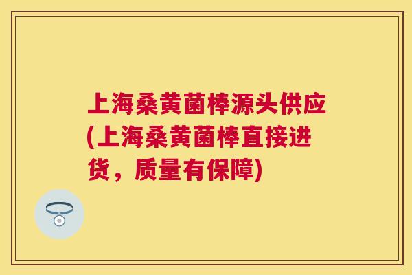 上海桑黄菌棒源头供应(上海桑黄菌棒直接进货，质量有保障)