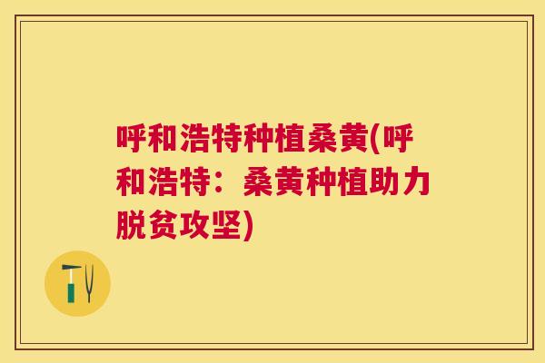 呼和浩特种植桑黄(呼和浩特：桑黄种植助力脱贫攻坚)