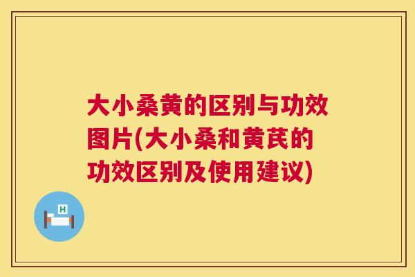 大小桑黄的区别与功效图片(大小桑和黄芪的功效区别及使用建议)