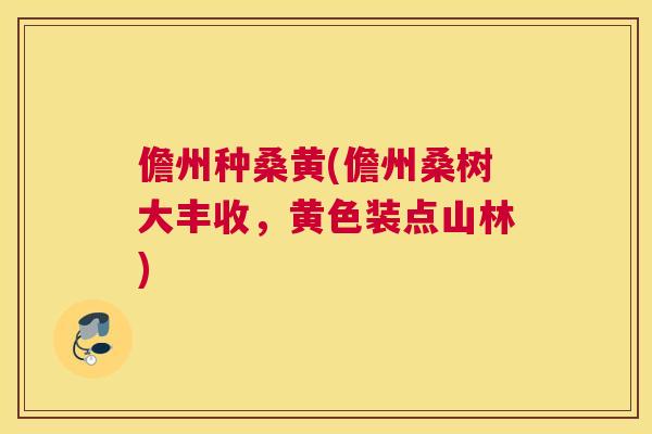 儋州种桑黄(儋州桑树大丰收，黄色装点山林)