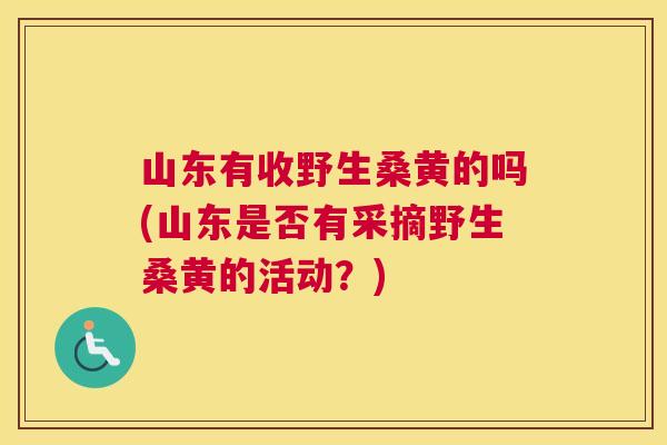 山东有收野生桑黄的吗(山东是否有采摘野生桑黄的活动？)