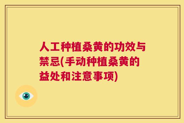 人工种植桑黄的功效与禁忌(手动种植桑黄的益处和注意事项)