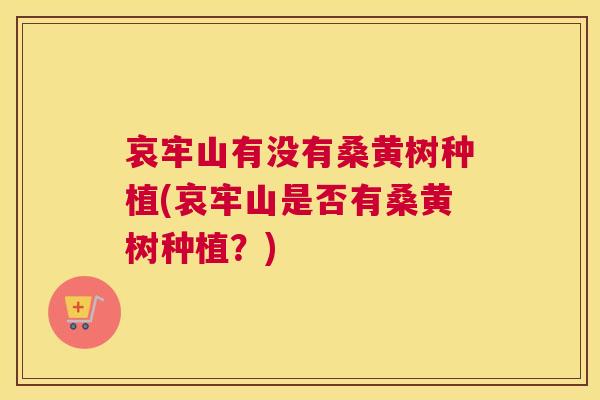 哀牢山有没有桑黄树种植(哀牢山是否有桑黄树种植？)