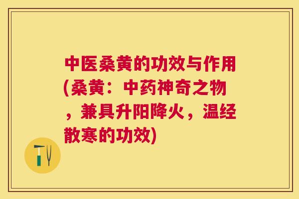 中医桑黄的功效与作用(桑黄：神奇之物，兼具升阳降火，温经散寒的功效)
