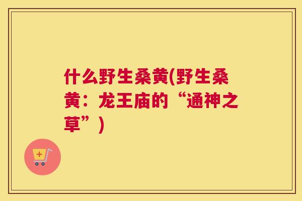 什么野生桑黄(野生桑黄：龙王庙的“通神之草”)