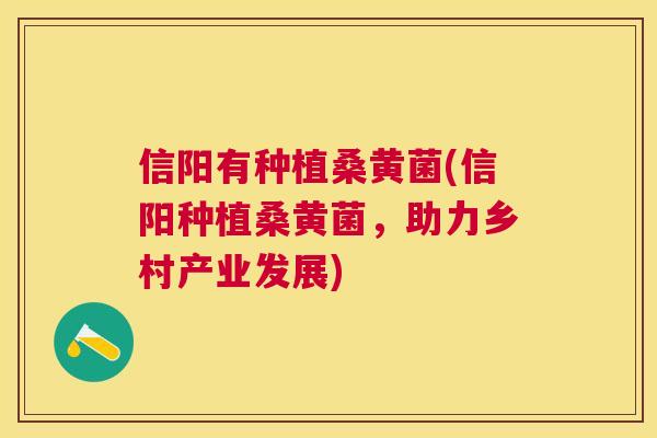 信阳有种植桑黄菌(信阳种植桑黄菌，助力乡村产业发展)