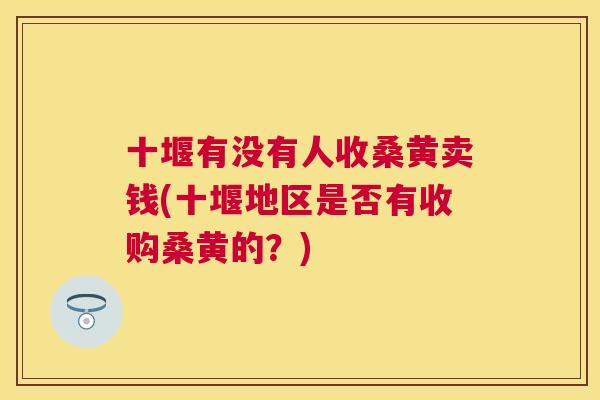 十堰有没有人收桑黄卖钱(十堰地区是否有收购桑黄的？)