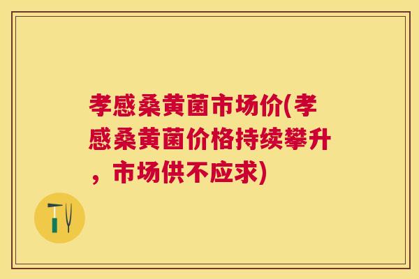 孝感桑黄菌市场价(孝感桑黄菌价格持续攀升，市场供不应求)