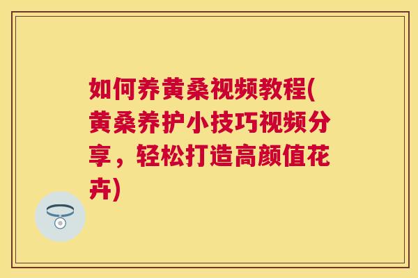 如何养黄桑视频教程(黄桑养护小技巧视频分享，轻松打造高颜值花卉)