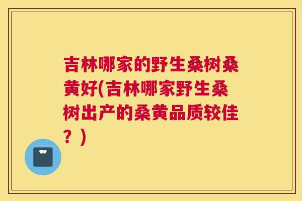 吉林哪家的野生桑树桑黄好(吉林哪家野生桑树出产的桑黄品质较佳？)