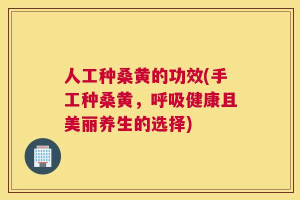 人工种桑黄的功效(手工种桑黄，健康且美丽养生的选择)