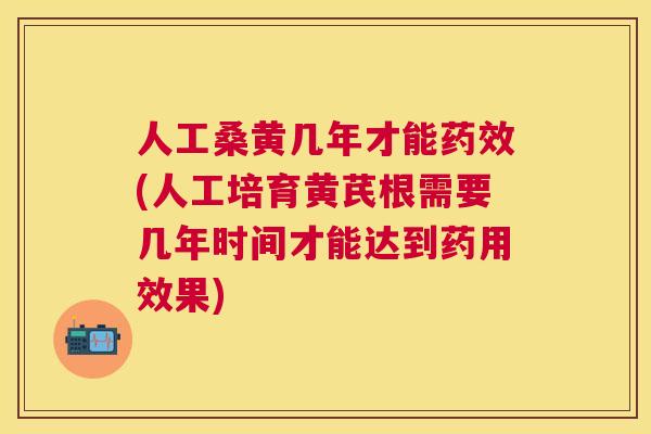 人工桑黄几年才能(人工培育黄芪根需要几年时间才能达到药用效果)