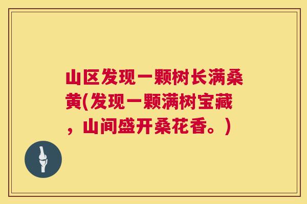 山区发现一颗树长满桑黄(发现一颗满树宝藏，山间盛开桑花香。)