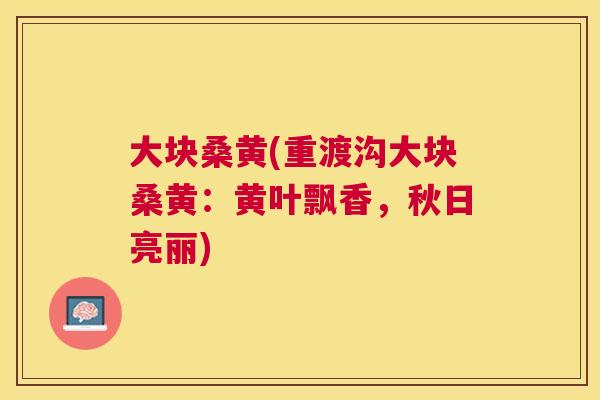 大块桑黄(重渡沟大块桑黄：黄叶飘香，秋日亮丽)