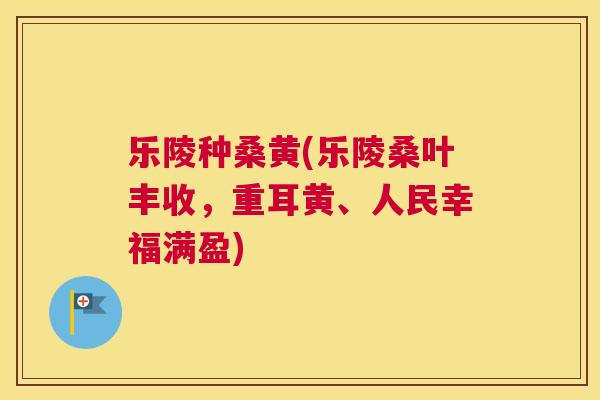 乐陵种桑黄(乐陵桑叶丰收，重耳黄、人民幸福满盈)