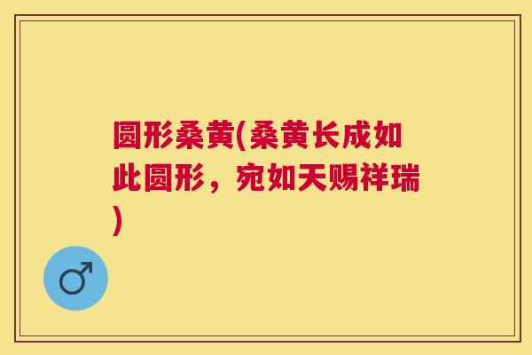 圆形桑黄(桑黄长成如此圆形，宛如天赐祥瑞)