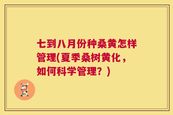 七到八月份种桑黄怎样管理(夏季桑树黄化，如何科学管理？)