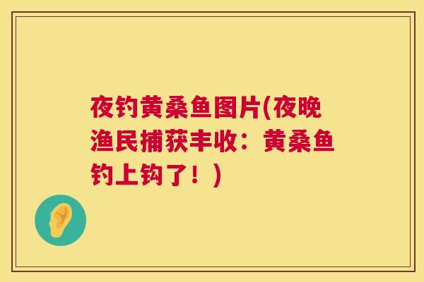 夜钓黄桑鱼图片(夜晚渔民捕获丰收：黄桑鱼钓上钩了！)