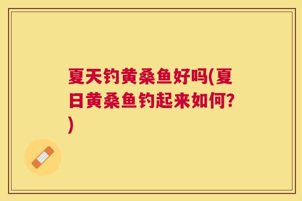 夏天钓黄桑鱼好吗(夏日黄桑鱼钓起来如何？)