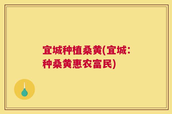 宜城种植桑黄(宜城：种桑黄惠农富民)