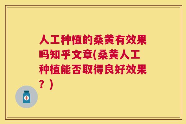 人工种植的桑黄有效果吗知乎文章(桑黄人工种植能否取得良好效果？)