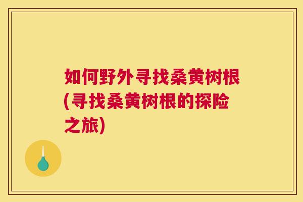 如何野外寻找桑黄树根(寻找桑黄树根的探险之旅)