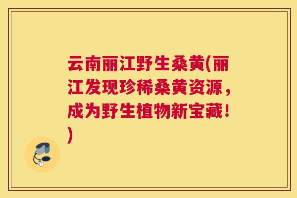 云南丽江野生桑黄(丽江发现珍稀桑黄资源，成为野生植物新宝藏！)