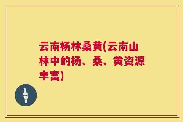 云南杨林桑黄(云南山林中的杨、桑、黄资源丰富)