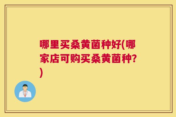 哪里买桑黄菌种好(哪家店可购买桑黄菌种？)