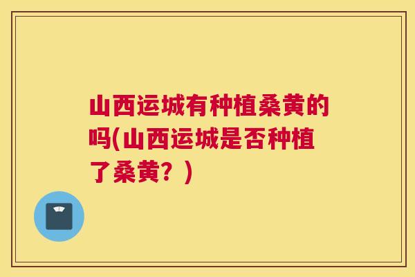 山西运城有种植桑黄的吗(山西运城是否种植了桑黄？)